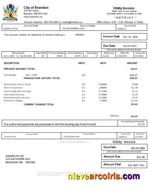 USA BRANDON MISSISSIPPI business utility bill